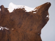 Шкура коровы натуральная тигровая арт.: 31259 - T68c29497adbb3959676586