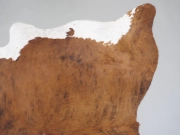 Шкура коровы натуральная тигровая арт.: 31321 - T6970c31570626234996203