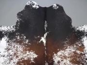 Натуральная шкура коровы черно-белая красноватая арт.: 31371 - T69ca4479d36bc795066145