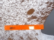 Шкура коровы натуральная соль и перец арт.: 31304 - T691f0784238bc633696428