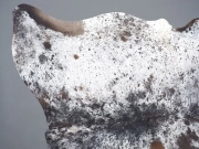 Шкура коровы натуральная соль и перец арт.: 31302 - T691dbfa72dab1256653226