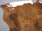 Шкура коровы натуральная с белым животом арт.: 24460 - T652e3ae64ca64655014511