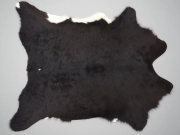 Телячья шкура темно-шоколадная с белым животом арт.: 27056 - T65425c8d5a100693636140