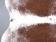 Шкура коровы натуральная соль и перец арт.: 31381 - T69cfb451c0eb1088086761