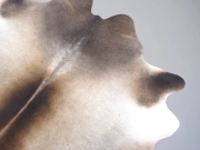 Натуральная шкура коровы серо-бежевая арт.: 31376 - T69ce44ac657ba759647649