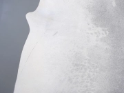 Шкура коровы натуральная серая арт.: 31334 - T698088fe86788748903157