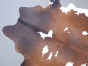 Натуральная шкура коровы черно-белая красноватая арт.: 31295 - T690dac7a74c9f833331361