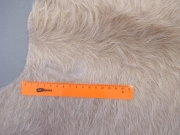 Шкура коровы натуральная бежево-белая арт.: 31319 - T696a214e625d5843777072