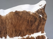 Шкура коровы натуральная тигровая арт.: 31341 - T6981c3502695a183619383