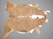 Натуральная коровья шкура – ковер бежево-белая арт.: 31306 - T693805bf504cd698980540