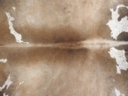 Шкура коровы натуральная серо-бежевая арт.: 31370 - T69ca30c132b88179956079