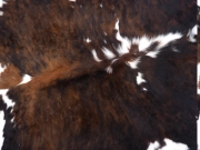 Шкура коровы натуральная трехцветная арт.: 30288 - T6502fb495f7dc030364441