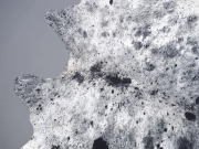 Шкура коровы натуральная соль и перец арт.: 31232 - T68933f866058c889923904