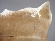 Коровья шкура натуральная серо-бежевая арт.: 26343 - T65269a78d7afb852984983