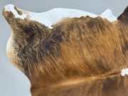 Шкура коровы натуральная тигровая арт.: 31326 - T697374324b90c768690634.jpeg