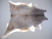 Шкура коровы маленького размера серая арт.: 31318 - T6968f1ab6b46d753189993