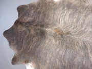 Шкура коровы натуральная экзотическая светлая арт.: 31385 - T69d3b1b4913e1269138897