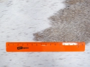 Натуральная шкура коровы серо-бежевая арт.: 31296 - T690db00b5cd89373766851