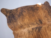 Шкура коровы натуральная тигровая арт.: 29308 - T652d25a29d2d1100048489