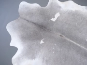 Шкура коровы маленького размера серая арт.: 31320 - T696a2ca133c7f001361077