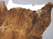 Шкура коровы экзотическая с белым животом и хребтом арт.: 24671 - T652e4035097ce825010946