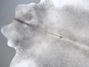 Натуральная шкура коровы серо-бежевая маленькая арт.: 31317 - T6968d3917d5f3820751539