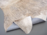 Шкура коровы натуральная экзотическая светлая арт.: 31387 - T69d3be8cc430a469558184