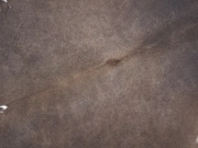 Коровья шкура натуральная коричневый мокко арт.: 31397 - T69e09f141e4e4314277484