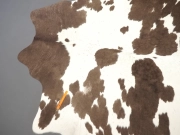 Коровья шкура натуральная коричневый мокко арт.: 31312 - T694bcf7ce9873523739049