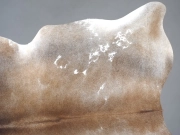 Натуральная шкура коровы серо-бежевая арт.: 31297 - T690df67eac9e8498254665