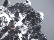 Натуральная шкура коровы черно-белая красноватая арт.: 31299 - T691da833a9ceb142395093