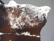 Натуральная шкура коровы черно-белая красноватая арт.: 31371 - T69ca4478b33de249802677