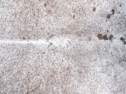 Шкура коровы натуральная соль и перец арт.: 31304 - T691f078474c16577973910