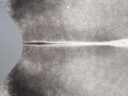 Шкура коровы натуральная серая арт.: 31366 - T699d9a3bdfc44041770692