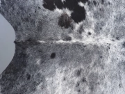 Шкура коровы натуральная соль и перец арт.: 31358 - T698f16c9ac78f090496823