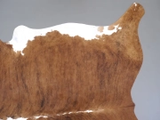 Шкура коровы натуральная тигровая арт.: 31327 - T6978c34d5358b424328628