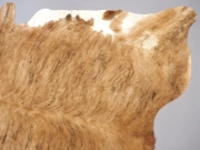 Коровья шкура недорого натуральная арт.: 29401 - T652cf2addeacc363112066