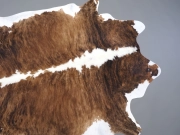 Шкура коровы натуральная тигровая арт.: 31341 - T6981c397572f1571810920