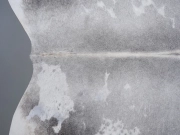 Шкура коровы натуральная серая арт.: 31390 - T69d504ad7710a129863469