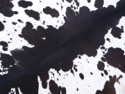 Коровья шкура натуральная на пол черно-белая арт.: 30329 - T655b16f8f23a1590516550