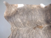 Шкура коровы натуральная экзотическая светлая арт.: 31385 - T69d3b1b370d66879269663