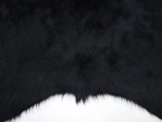 Коровья шкура ковер окрашена в насыщенно черный арт.: 30056 - T652fd0d3efd61213059772