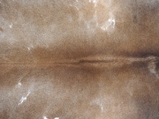 Натуральная шкура коровы серо-бежевая арт.: 31297 - T690df6791aef1724891585