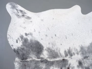 Шкура коровы натуральная соль и перец арт.: 31353 - T698c787ab6d85596278427