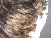 Натуральная шкура коровы на пол тигровая арт.: 30380 - T65df0dcdddf60336481032