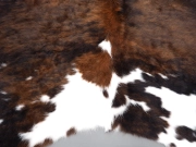 Шкура коровы натуральная трехцветная арт.: 30288 - T6502fb49c6431751844116