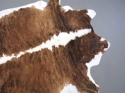 Шкура коровы натуральная тигровая арт.: 31341 - T6981c3aceef29339286441