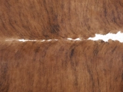 Шкура коровы натуральная тигровая арт.: 31327 - T6978c3339ec39931241949