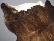 Ковер шкура коровы натуральная насыщено-тигровая арт.: 29415 - T652cfe959a65b792734441