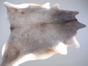 Шкура коровы маленького размера серая арт.: 31318 - T6968f1ac80f04377493403